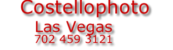 Professional Photographers Las Vegas 